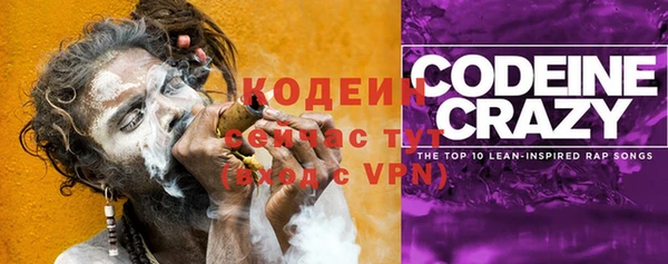 spice Каменка