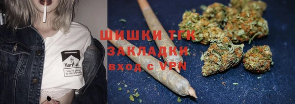 spice Каменка